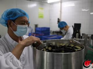潍坊寿光市圣城街道一企业酿出康养“新食尚”