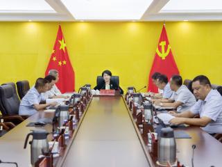 陵水县召开2025年第4次县政府党组理论学习中心组学习会