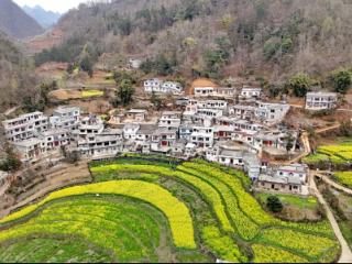 【退役军人建功新时代】“兵支书”伍仕付：党建引领聚合力 激发乡村新动能