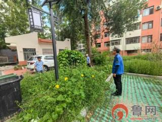 胶州阜安综合行政执法中队联合社区物业开展“毁绿种菜”清理行动