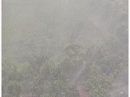 合肥发布强对流黄色预警 多地电闪雷鸣、风雨大作