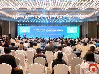 2025木材与木制品大会在日照开幕