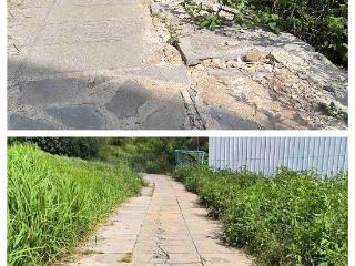 【天眼调查】网友曝光公园“脏乱差”，三天内全部整改