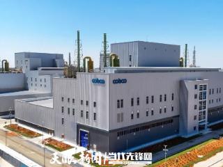 中伟股份非洲项目完成国际绿色银团融资