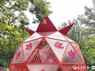 石榴籽紧抱，育人更育心——枣庄校园共绘民族团结教育生动图景