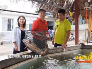 央视镜头聚焦峡山湖有机鱼：解码水清鱼跃的生态发展密码
