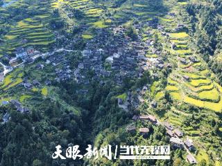 雷山雀鸟苗寨：藏于雷公山腹地的小众秘境