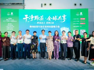 黔茶北上 香润长春｜贵州绿茶拓展东北市场