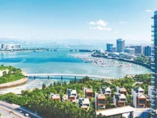 为何选择在湖里区营商兴业？企业家这样说