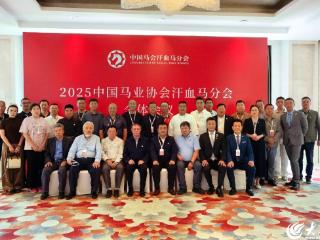 沂蒙骏马扬新鬃！杨维庆会长当选中国马会汗血马分会常务副会长