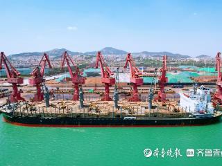 从木材通道到行业引擎，山东港口日照港构建多方共赢产业生态圈