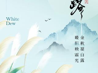 动画丨白露节气至，天凉好个秋