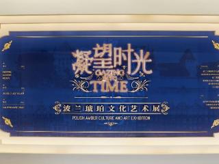 一块琥珀连中波！波兰女生在豫博聆听波罗的海的回响