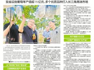 江西新品种改写南方葡萄市场格局