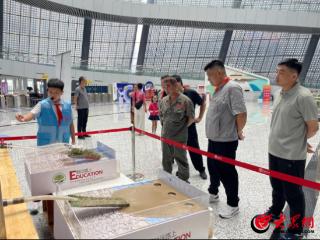 黄河根脉 艺韵传承 东营市实验中学成功举办跨学科生态环保教育实践活动