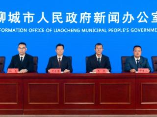 社会组织和慈善事业双丰收，茌平区爱心汇聚温暖万千群众