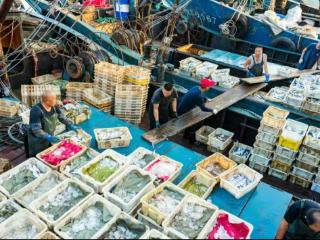 开海囤鲜不将就，澳柯玛大容量变频冷柜一步到位