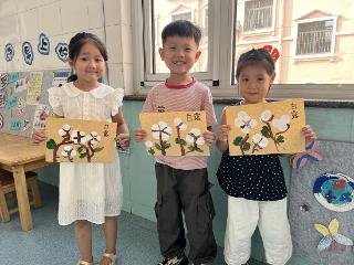 莒南县第三幼儿园开展“蒹葭苍苍，白露为霜”节气主题活动