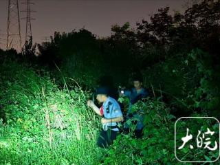 合肥八旬老人走失树林后获救