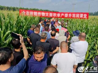 潍坊昌邑：田间课堂传授良技 冲刺秋粮丰产丰收