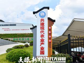 珠遵协作山海情深 东风吹来硕果满途