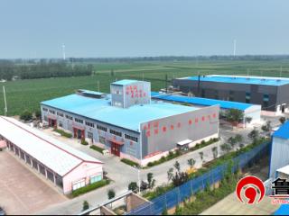 德州市陵城区糜镇：用心用情服务 为企排忧解难