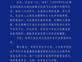 乘客发视频炫耀“第N次”带打火机登机，四川警方通报