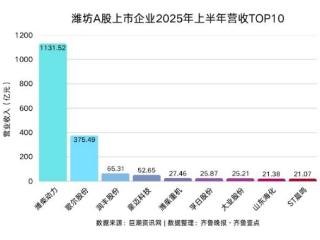半年报里看潍坊韧性，14家上市公司营收超10亿