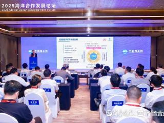 百余专家学者齐聚青岛西海岸，共话海洋工程创新发展新路径