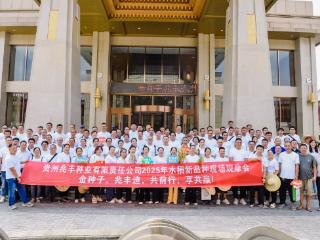 好种子如何“圈粉”市场？岑巩这场观摩会给出答案：兆丰“金种子”引领行业共赢