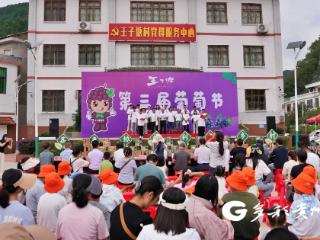果香四溢！惠水葡萄采摘节欢乐多