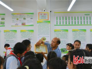 秦皇岛市北戴河区举办毛毛虫自然课堂主题科普活动