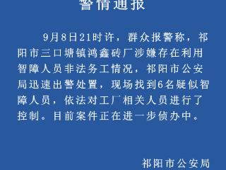 有砖厂利用智障人员非法务工？湖南祁阳警方：找到6名疑似智障人员