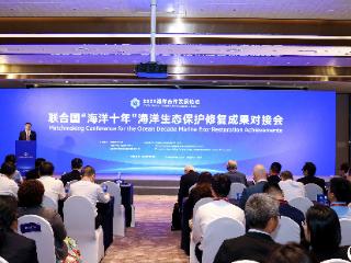 共创健康和有复原力的海洋——联合国“海洋十年”海洋生态保护修复成果对接会成功举办