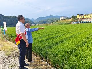 工行凯里分行：金融“活水”润黔土 绘就乡村振兴好“丰”景