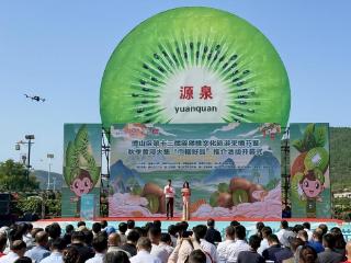 金秋猕香溢满园，博山区第十三届猕猴桃文化旅游采摘节启幕