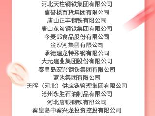 2025河北省民营企业100强榜单发布