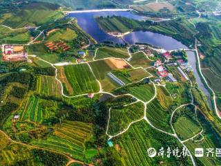 中国农民丰收节，为什么是招远？
