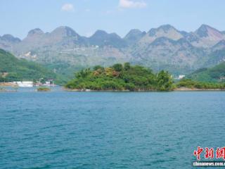 桂滇黔协同治理 万峰湖碧水“绿”三岸