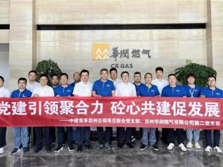 党建引领聚合力，砼心共建促发展