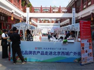 “鲜”声夺人 河北净菜成为社区“新宠儿”