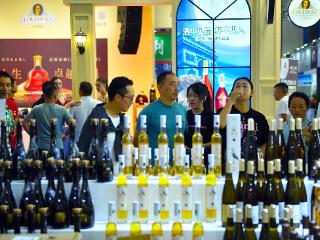 G视觉丨走进酒博会 共赴佳酿之约