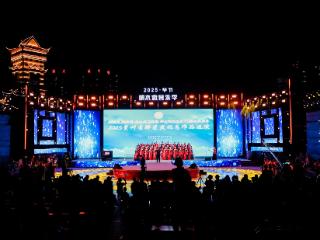 2025年贵州省 “群星奖” 优秀作品巡演在七星关区精彩上演