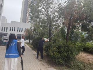 南苑街道水韵城社区开展“环境整治，保驾护航”活动