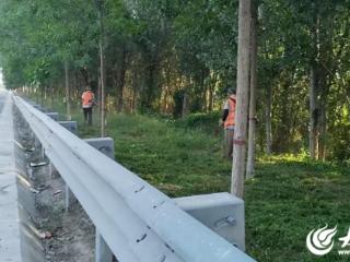 德州公路城区分中心认真开展绿化修剪作业