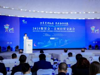 2025服贸会·贵州经贸交流会在京举办