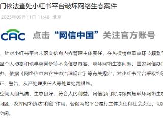 小红书平台破坏网络生态被约谈 责任人被从严处理