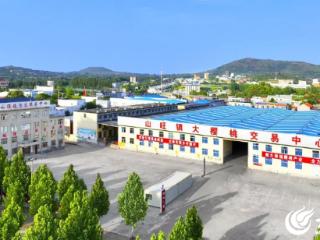 潍坊临朐：片区联动聚合力 乡村振兴绘新图