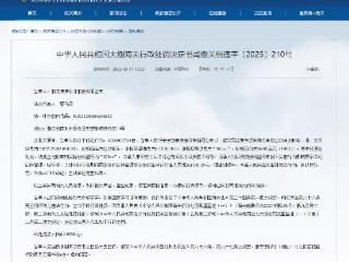 涛涛车业因申报不实被行政处罚