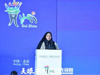 2025·服贸会｜索马里联邦共和国驻华大使和丹·奥斯曼·阿布迪：期望与贵州多方合作 让文化与商贸双向奔流